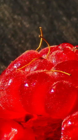 Raspberry berries. Autumn harvest. Making jam and sauce. Macro photography. Copy spaceの写真素材