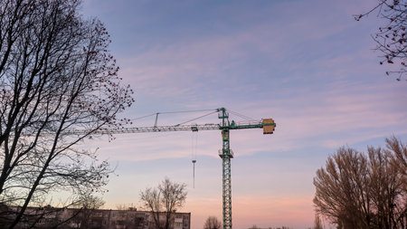 Construction crane with a long boom against the background of a light sky. Building construction. Winter weather.の写真素材