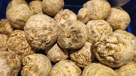 Celery root displayed on the counter ready for sale. Grocery supermarket Copy spaceの写真素材
