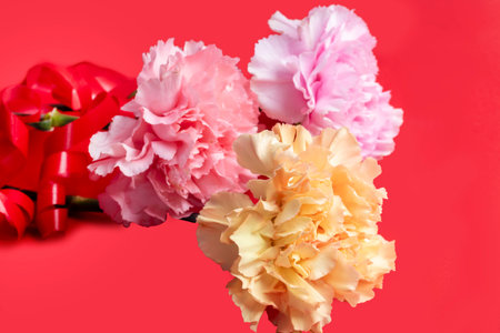 Carnations on a bright background red and white. Mothers Day, birthday.