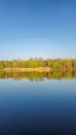 Large pond surrounded by trees and plants. Spring landscape. blue skyの写真素材