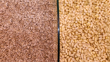 Sunflower seeds and peanuts nuts on the counter in the supermarket. Prepared for sale. Product...