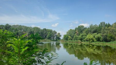 Picturesque summer river landscape with green trees, reflections and blue sky - a place for...