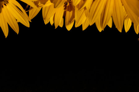 Yellow flower leaves at the top of the picture and black ornament