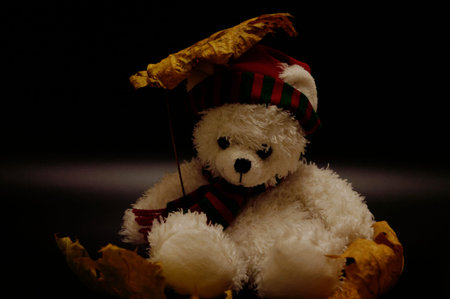 White and yellow teddy bear in a red cap and a scarf with dry leaves and an umbrella on a black backgroundの写真素材