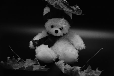 White and black teddy bear in a cap and a scarf with dry leaves and an umbrella on a black...