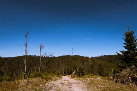 Radio tower, transmitter placed on a mountain peak surrounded by forest with beautiful sky.の写真素材