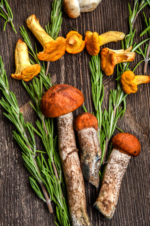 Chanterelle mushrooms and white mushroomsの写真素材