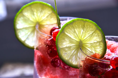 Drink closeup, watermelon, lime, sprig of red currants, rosemaryの写真素材