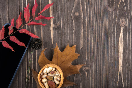 Telephone, red autumn leaves, pine cones, nuts, top view