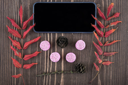 Telephone, red autumn leaves, pine cones, candy, top viewの写真素材