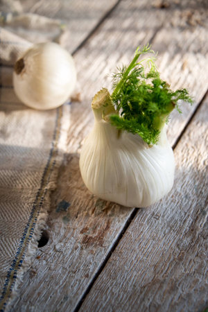 Fennel and white onion on rustic napkin