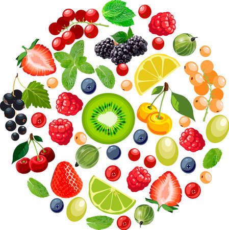 Mix of edible berries in the shape of a circle, on a white background and mint leavesのイラスト素材