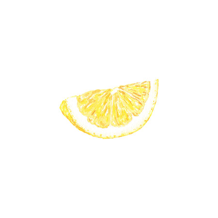 Watercolor lemons slice hand-painted in botanical style aquarelle for use in holiday, wedding, and food design. Citrus for decorating packages, cards and on productsの写真素材