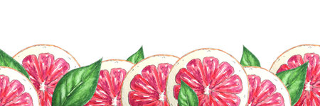 Watercolor banner of red oranges and leaves hand-painted in botanical style for use in holiday, wedding and food design. border of citrus tropical fruits to decorate packages, cardの写真素材