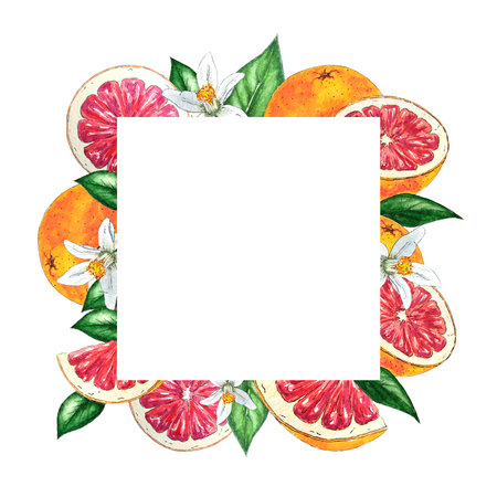 Watercolor frame of red oranges, flowers and leaves hand-painted in botanical style, for use in holiday, wedding and food design. Citrus tropical fruit border for cardの写真素材