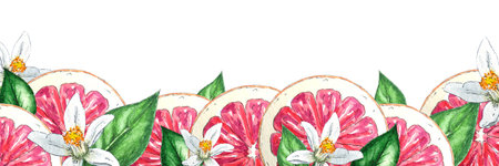Watercolor banner of red oranges and grapefruit, flowers, leaves, hand-painted in botanical style, for use in holiday, wedding and food design. Citrus tropical fruit frame for cardの写真素材