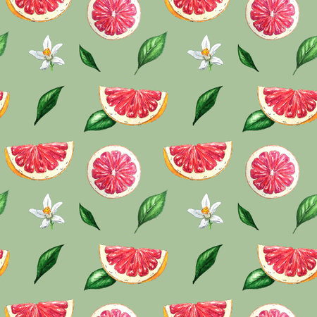 Watercolor seamless pattern of grapefruit and red orange slices, leaf, flower in botanical style aquarelle, for use in holiday, wedding and package design.Tropical fruit backgroundの写真素材