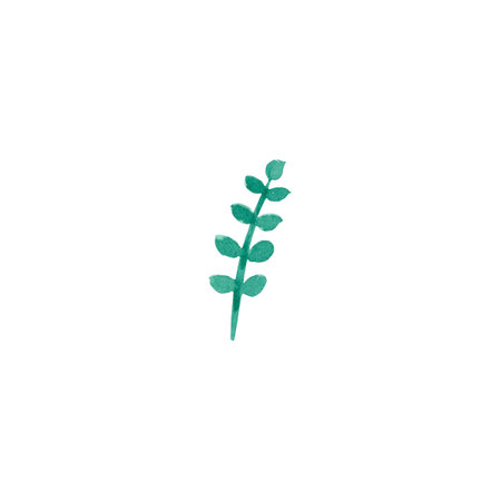 Watercolor green leaf hand-painted greens for use in wedding, holiday and decorative designの写真素材
