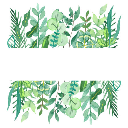 Watercolor frame of hand-drawn herbs and greens leaves for use in wedding, holiday and decorative designの写真素材