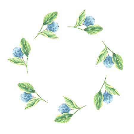 Watercolor frame of hand-drawn blueberries and leaves for use in wedding, holiday and decorative designの写真素材