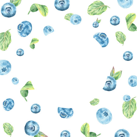 Watercolor frame of hand-drawn blueberries and leaves for use in wedding, holiday and decorative designの写真素材