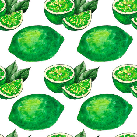 Watercolor seamless pattern of lime slices on a white background, hand-painted in botanical style, for use in holiday, wedding and food design. A citrus, tropical fruitの写真素材
