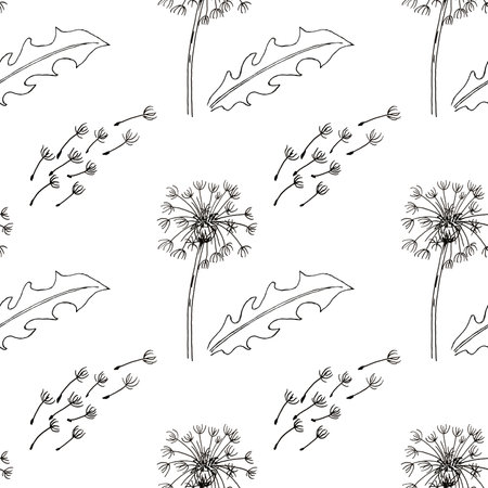 Watercolor seamless pattern wildflowers dandelions on white background, hand-painted in botanical style, for holiday, wedding, other design. digital paper packの写真素材