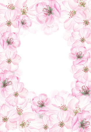 Watercolor illustration hand drawn in botanical style. Frame of pink cherry flowers, buds on a white background for creating cards, invitations, postcard. Holiday floral frameの写真素材