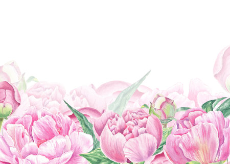 Watercolor frame, border pink peonys hand-drawn in botanical style for use in presentation, wedding, holiday and nature design invitation. Daisy flower for decorating cards, giftの写真素材