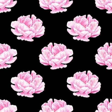 Watercolor seamless pattern peony on black background hand-drawn in botanical style for use in textile, wedding packaging, holiday and nature design invitation. Daisy flower fabricの写真素材