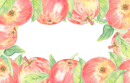 Watercolor frame apple red isolated illustration on white background. Autumn fruit for logo, menu, card, pattern. Art for design. Healthy eating foodの写真素材