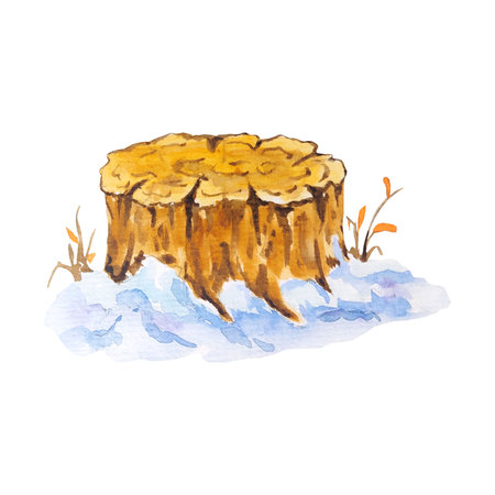 Stump in snow watercolor hand drawn illustration. Wooden cut tree, part of trunk in snowdrift. Isolated drawing for use in creating landscape, forest scene, composition, patternsの写真素材