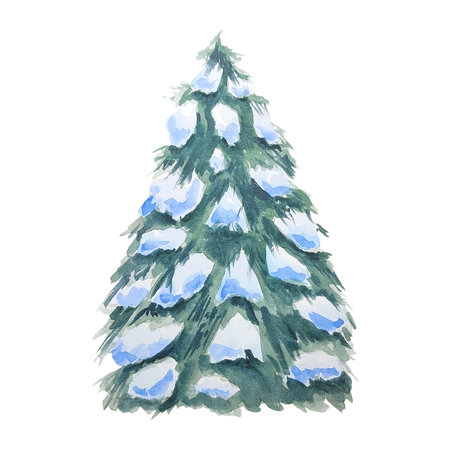 Fir tree and pine tree in snow watercolor illustration hand drawn. Nature in the forest, snow-covered spruce. Isolated illustration for creating winter landscape, posters Christmasの写真素材