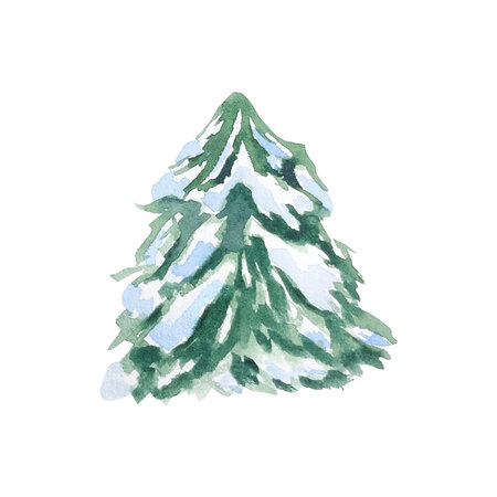 Fir tree and pine tree in snow watercolor illustration hand drawn. Nature in the forest, snow-covered spruce. Isolated illustration for creating winter landscape, posters, scenesの写真素材