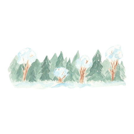 Forest of coniferous and deciduous trees watercolor illustration hand drawn. Nature in the forest, snow-covered trees. Isolated illustration creating seasonal landscape Many treeの写真素材