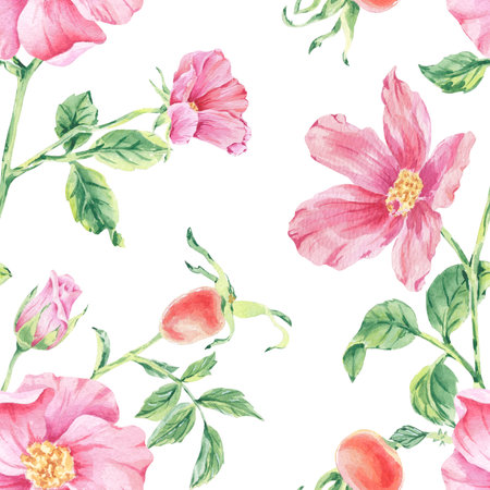 Flower seamless pattern Pink wild rose on stem with foliage watercolor illustration on white. Rosehip print hand drawn botanical sketch for printing on wallpaper, textile, tableware, wrapping paperの写真素材