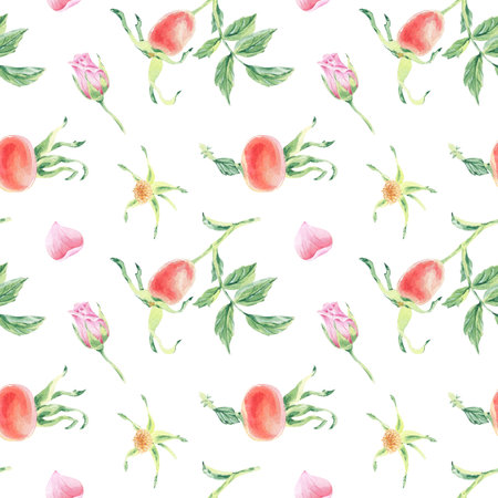 Seamless pattern Pink wild rose on stem with foliage watercolor illustration on white. Rosehip flower print hand drawn botanical sketch for printing on wallpaper, textile, tableware, wrapping paperの写真素材