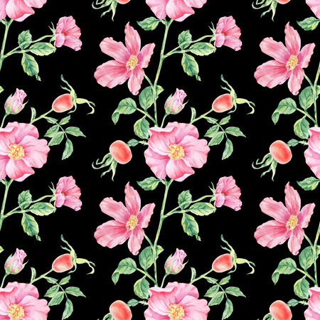 Pattern seamless pink wild rose on stem with foliage watercolor illustration on black. Rosehip flower print hand drawn botanical sketch for printing on wallpaper, textile, tableware, wrapping paperの写真素材