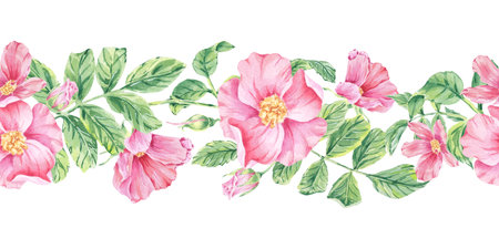 Rosehip seamless border flower on stem with foliage watercolor illustration on white. Pink wild rose print hand drawn botanical sketch for printing on wallpaper, textile, tableware, wrapping paperの写真素材