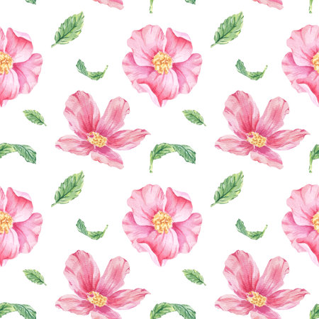 Rosehip seamless pattern watercolor illustration on white. Pink rose flower print hand drawn botanical sketch for printing wallpaper, textile, tableware, wrapping paper. Cherry blossom, apple bloomingの写真素材