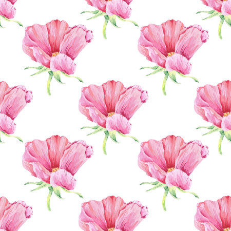 Rosehip seamless pattern watercolor illustration on white. Pink rose flower print hand drawn botanical sketch for printing wallpaper, textile, tableware, wrapping paper. Cherry blossom, apple bloomingの写真素材