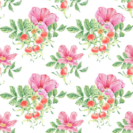 Pink wild rose seamless pattern with flower, berry, leaf watercolor illustration on white. Rosehip flowers, berries print hand drawn botanical sketch for printing on wallpaper, textile, wrapping paperの写真素材