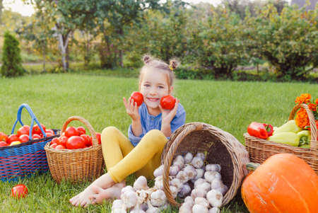 the girl is sitting on the grass near the house and playing with tomatoes.There are many beautiful vegetables around the girl.の写真素材