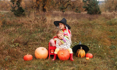 two girls are sitting on a meadow and hugging each other around them a lot of big and small pumpkins Halloween theme. A girl in a big wizard's hat is sitting on a pumpkin.の写真素材