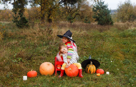 two little sisters are sitting in the middle of a field and hugging each other around a lot of large and small pumpkins.the theme of Halloween.the girl in the big wizard's hatの写真素材