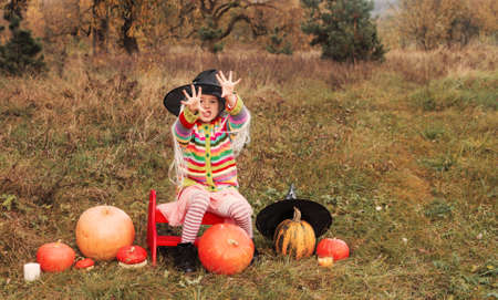 an evil girl is sitting in a meadow among a large and small pumpkin in a large wizard's hat and is engaged in witchcraft.Halloweenの写真素材