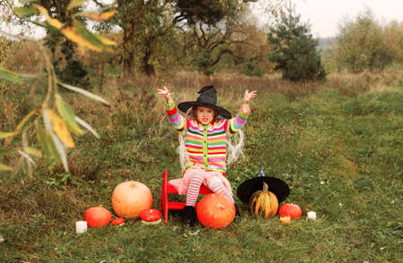 an evil girl is sitting in a meadow among a large and small pumpkin in a large wizard's hat and is engaged in witchcraft.Halloweenの写真素材