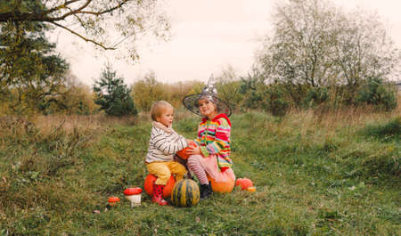 two little sisters are sitting in the middle of a field and hugging each other around a lot of large and small pumpkins.the theme of Halloween.the girl in the big wizard's hatの写真素材