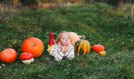 a little girl lies on the grass and shows her tongue around a large number of large and small pumpkins. Halloween Party.の写真素材
